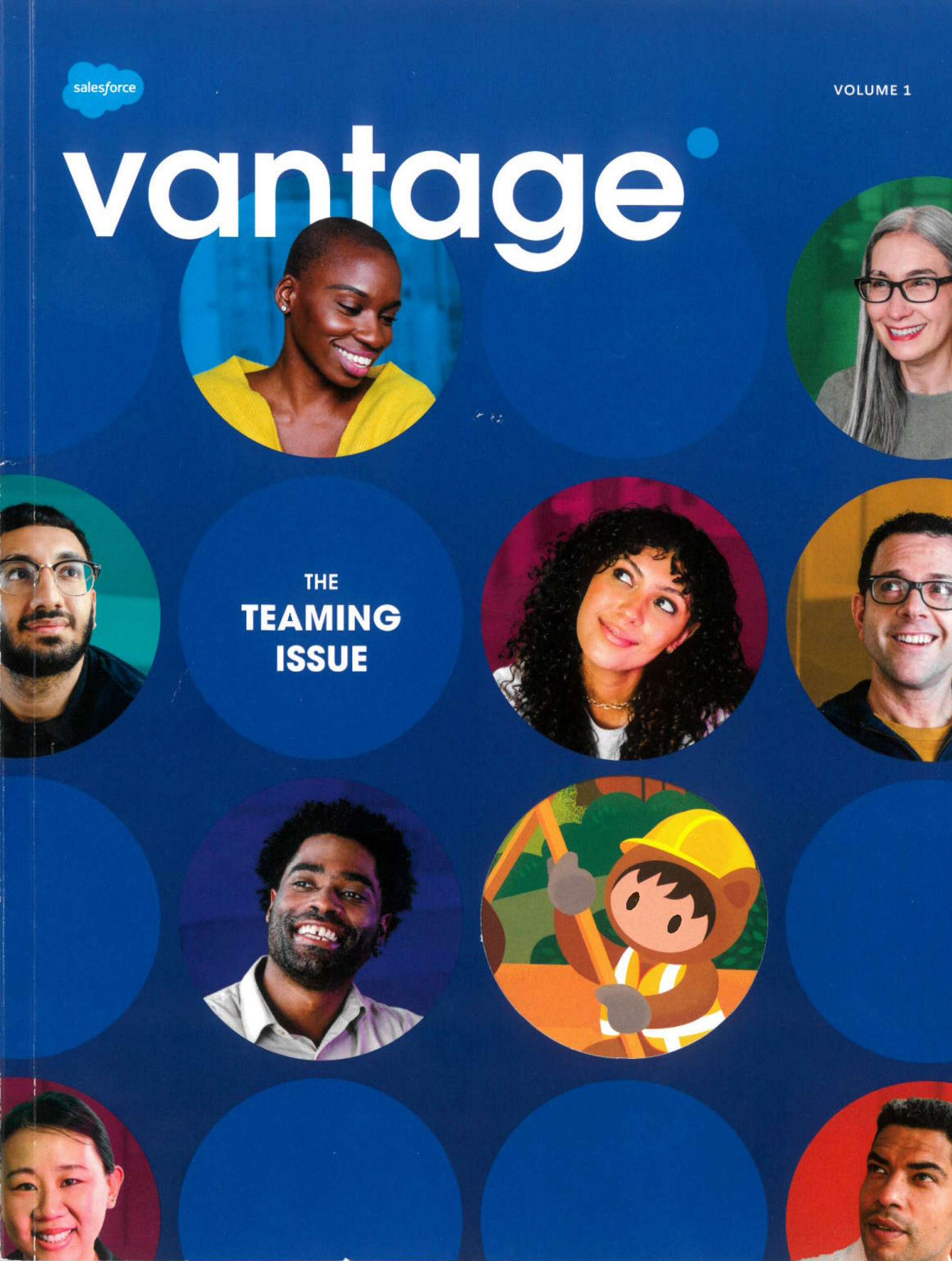 Vantage Point Volume 1 — The Teaming Issue